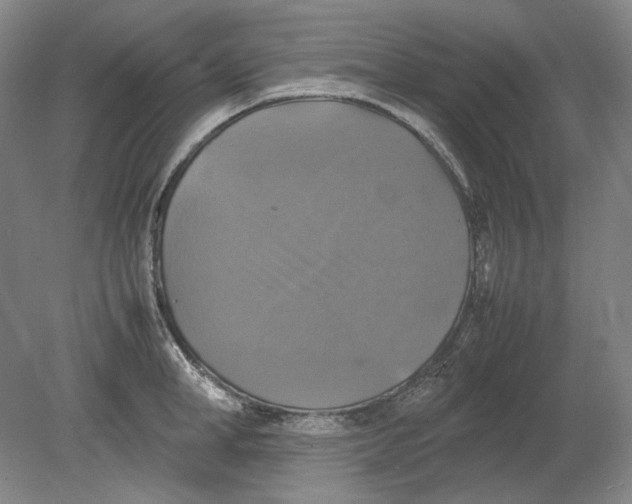 X0000080760998200701051231
