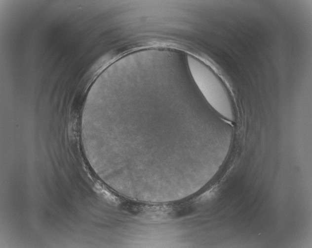 X0000080761001200701051231