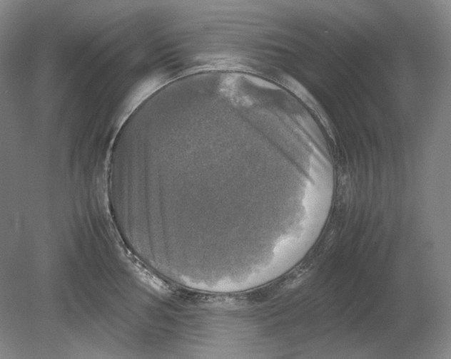 X0000080761002200701051231