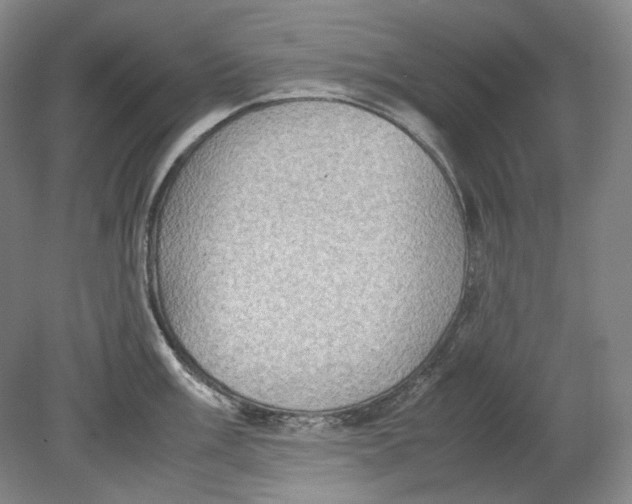 X0000080761003200701051231