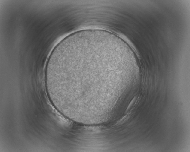 X0000080761004200701051231