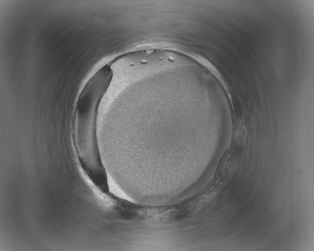 X0000080761005200701051231