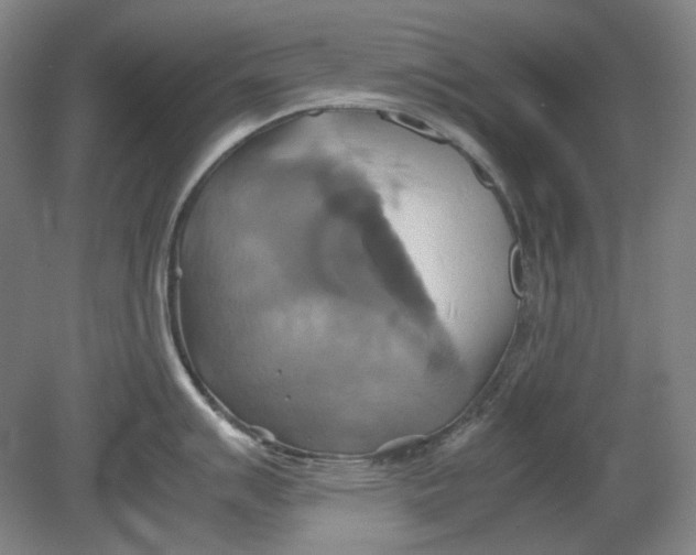 X0000080761007200701051231