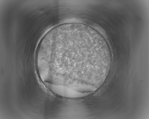 X0000080761008200701051231