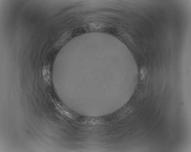 X0000080761011200701051230