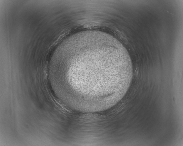 X0000080761012200701051230