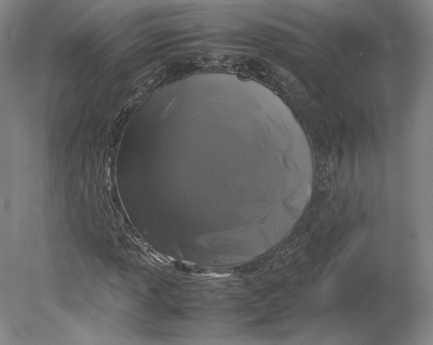 X0000080761013200701051230