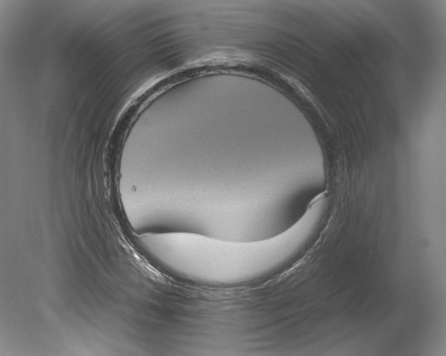 X0000080761018200701051230