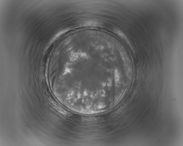 X0000080761019200701051230