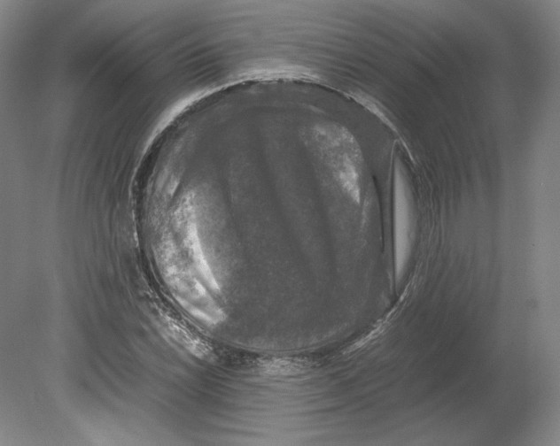 X0000080761022200701051230