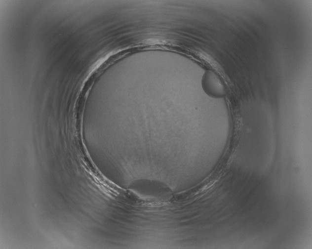 X0000080761023200701051230