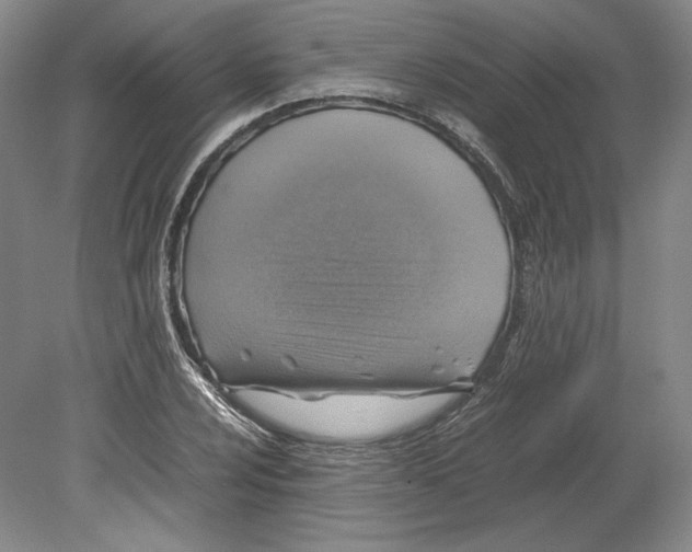 X0000080761024200701051230