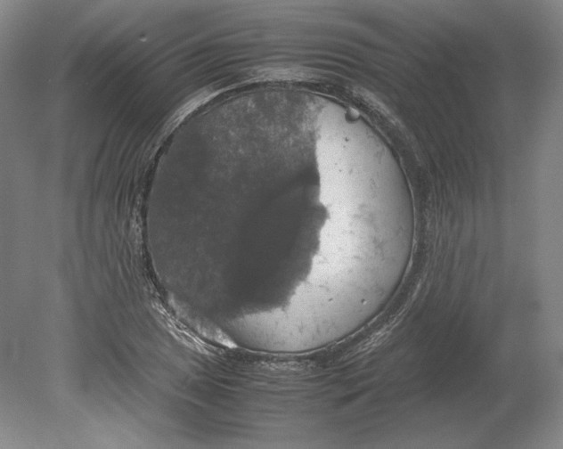 X0000080761025200701051231