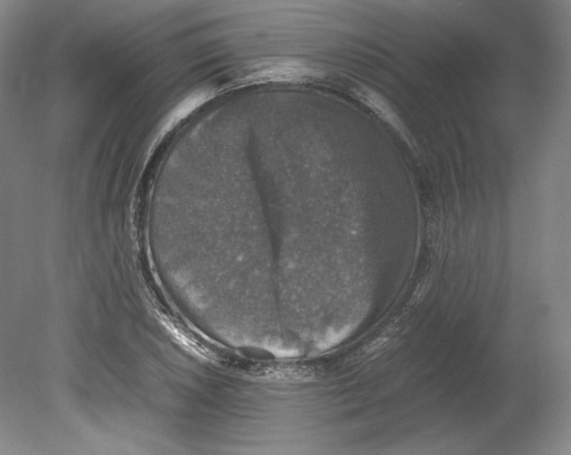 X0000080761026200701051231