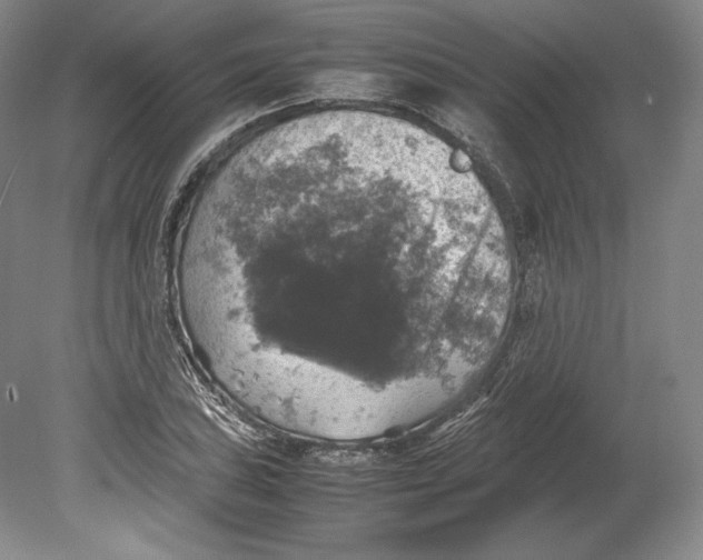 X0000080761027200701051231