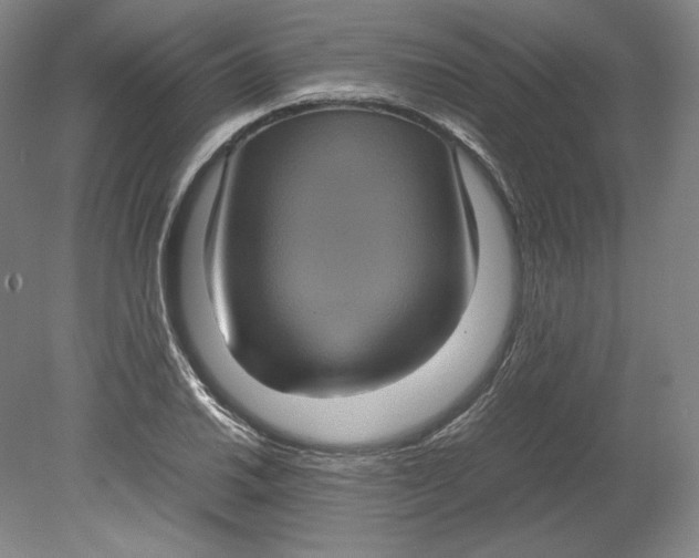 X0000080761030200701051231