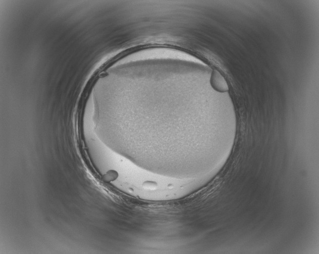 X0000080761032200701051231