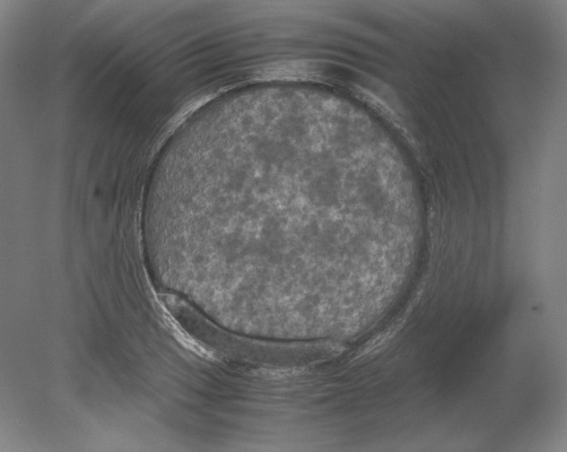 X0000080761033200701051231