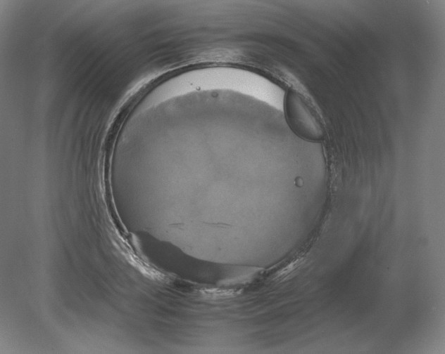 X0000080761035200701051231