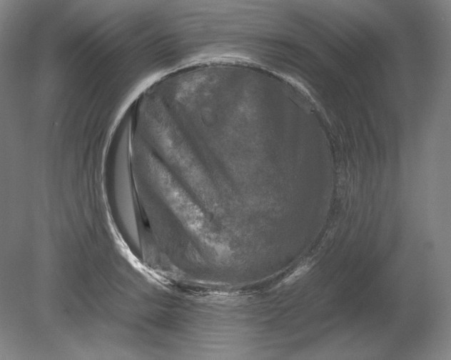 X0000080761038200701051231