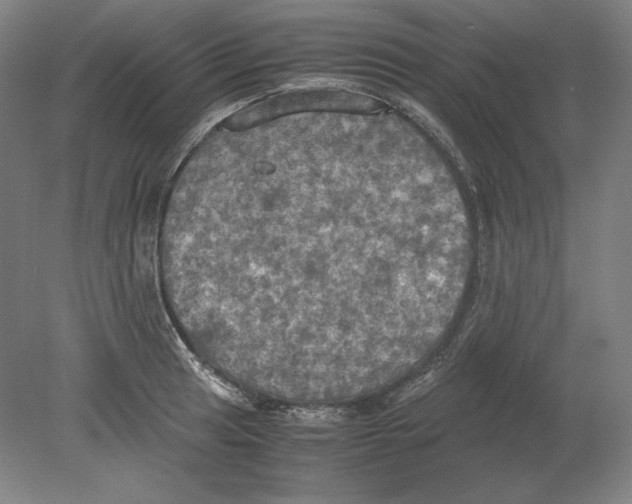 X0000080761041200701051231