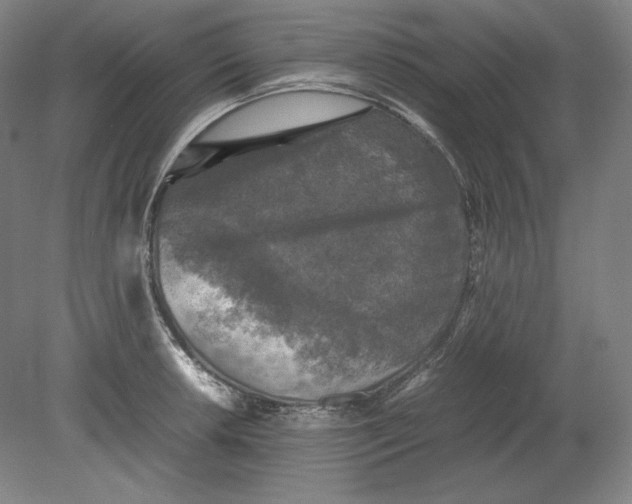 X0000080761042200701051231