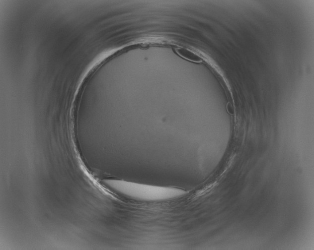 X0000080761045200701051231