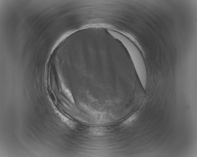 X0000080761046200701051231