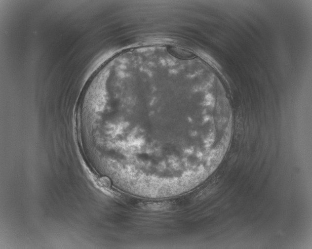 X0000080761047200701051231