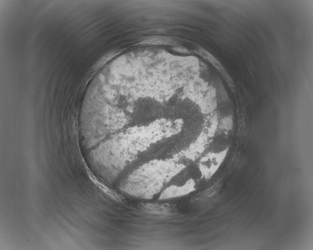 X0000080761049200701051231