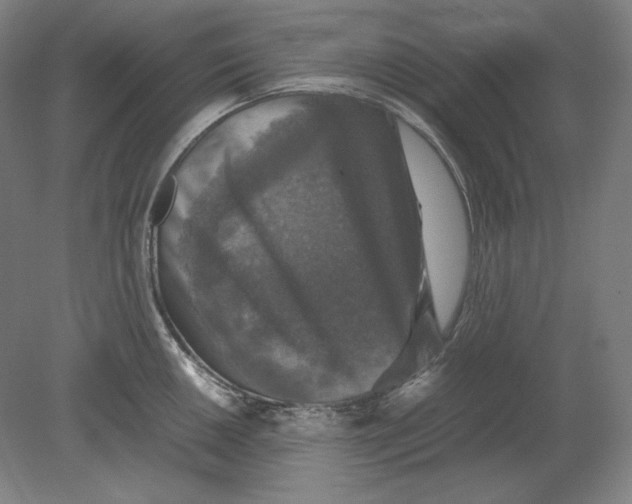 X0000080761050200701051231