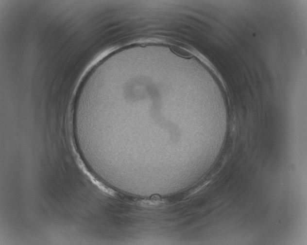 X0000080761053200701051231