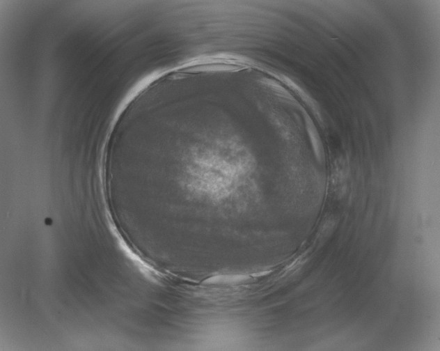 X0000080761054200701051231