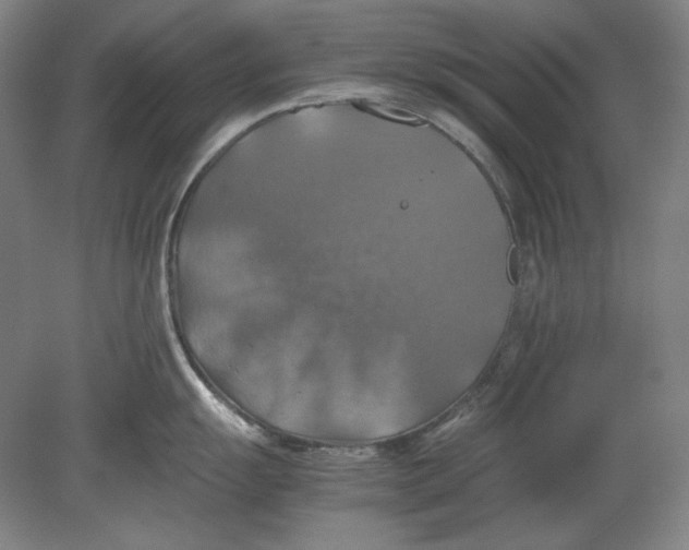 X0000080761055200701051231