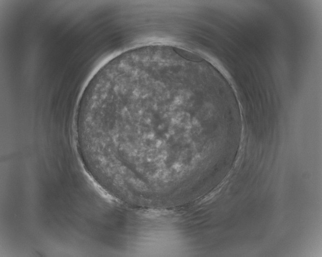 X0000080761056200701051231