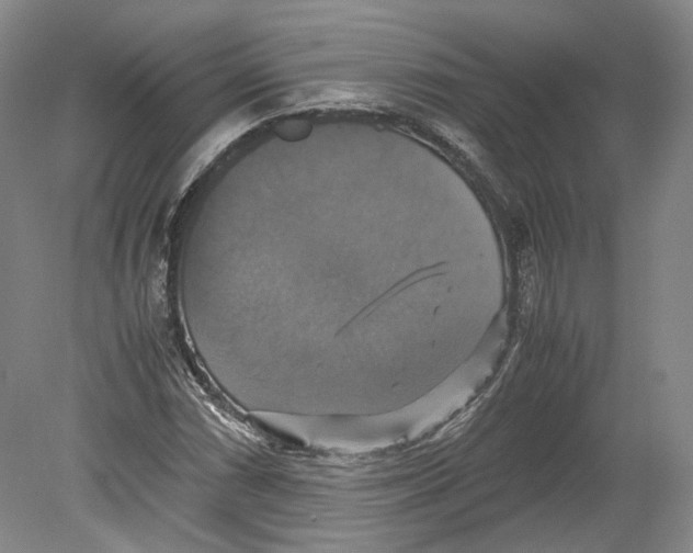 X0000080761066200701051230