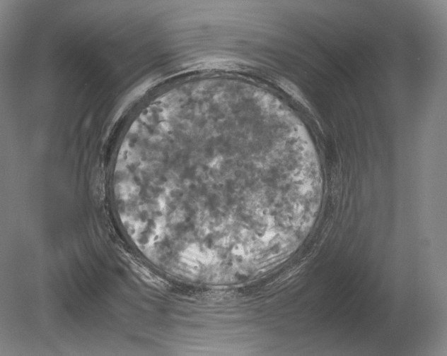 X0000080761067200701051230
