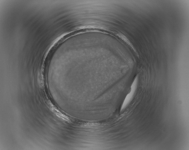 X0000080761068200701051230