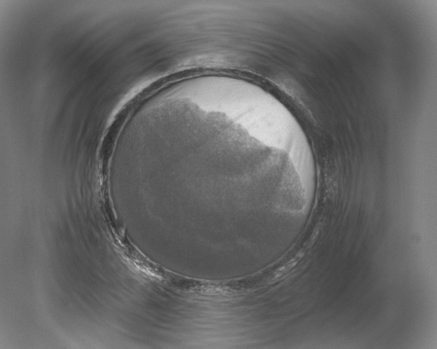 X0000080761070200701051230