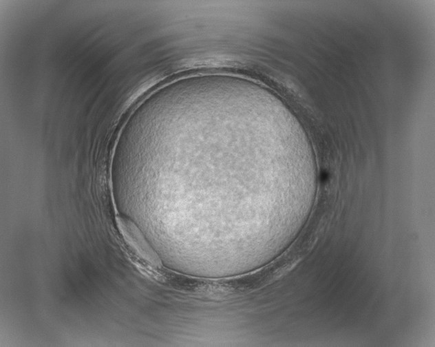 X0000080761073200701051230