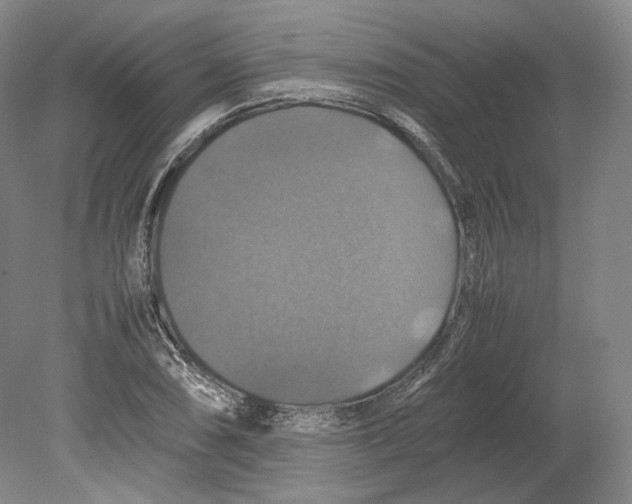 X0000080761074200701051230
