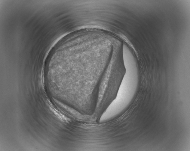 X0000080761076200701051230