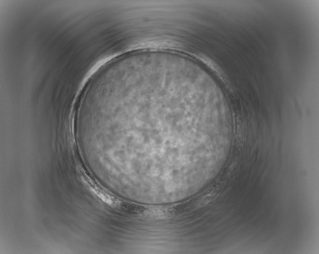 X0000080761078200701051230
