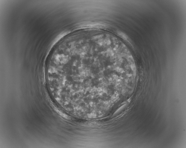 X0000080761079200701051230