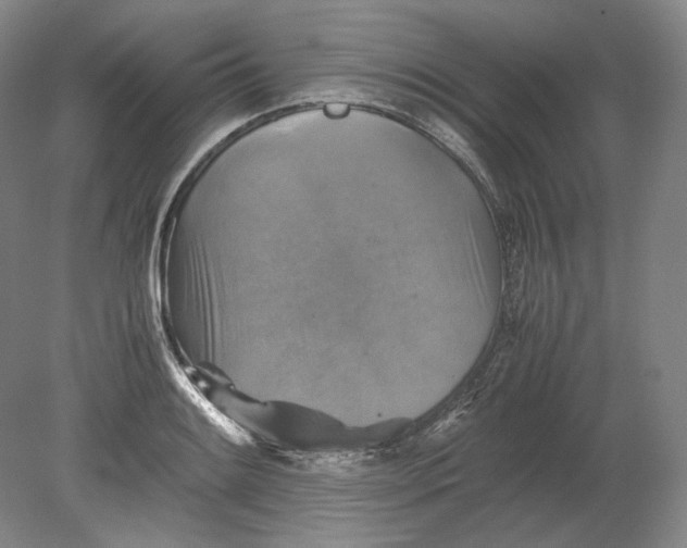 X0000080761084200701051230