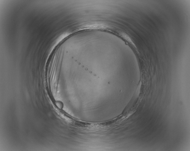 X0000080761087200701051230