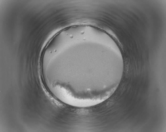 X0000080761088200701051230