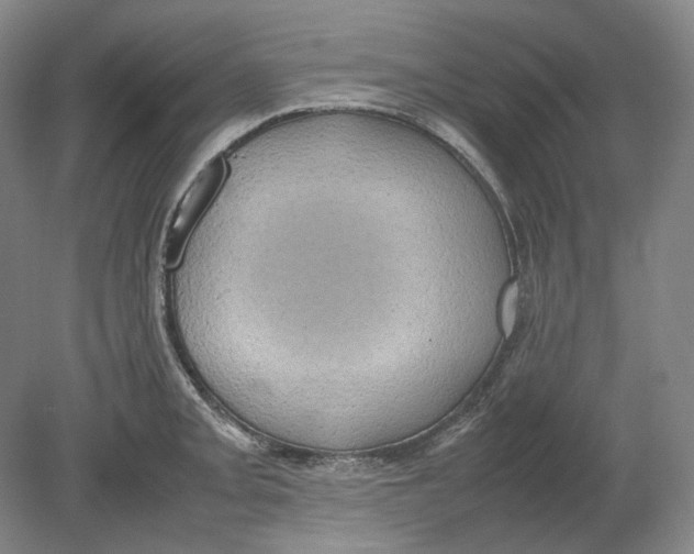 X0000080761093200701051230