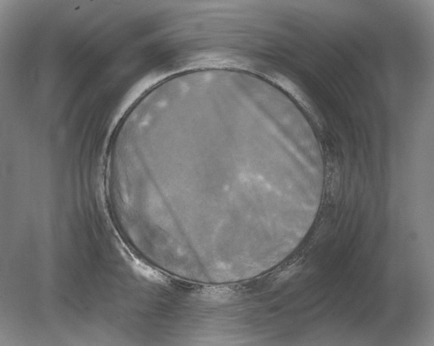 X0000080761094200701051230