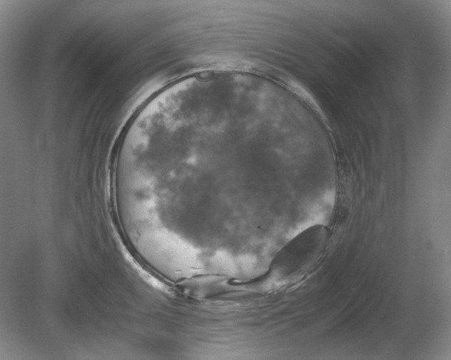 X0000080761095200701051230